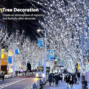 🎄Christmas Lights Firecracker String Lights